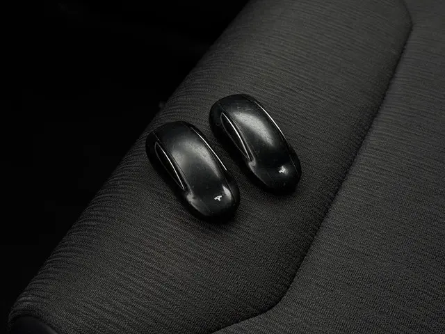 Tesla Model X 75D Aut. 2018 Elektrisch 30