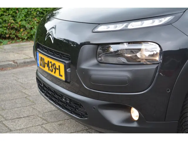 Citroën C4 Cactus 1.6 BlueHDi Business Plus 2017 Diesel 30