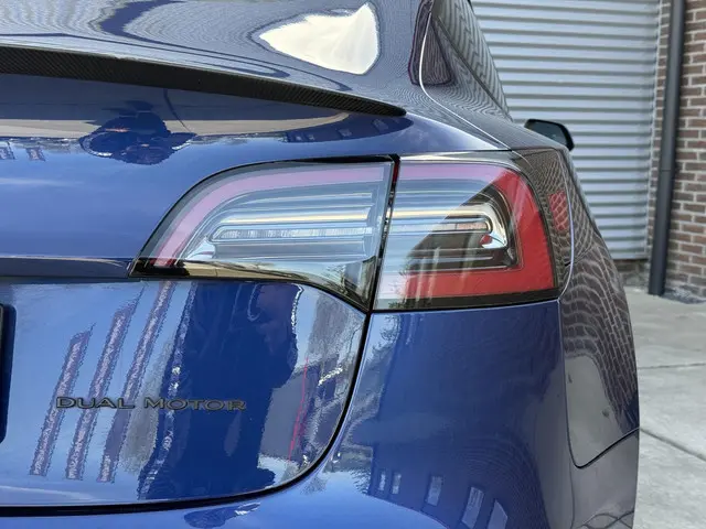 Tesla Model 3 Long Range AWD 75 kWh 2021 Elektrisch 40