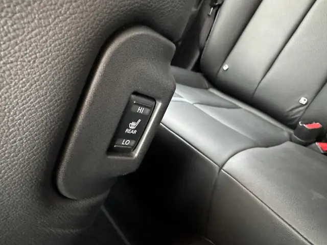 Nissan Leaf e+ Tekna 62 kWh 2019 Elektrisch 29