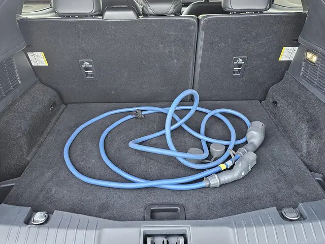 Ford Mustang Mach-E RWD 75 kWh 2021 Elektrisch 10