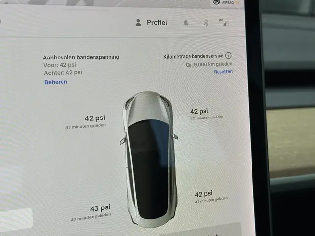 Tesla Model 3 Long Range AWD 75 kWh 2019 Elektrisch 16