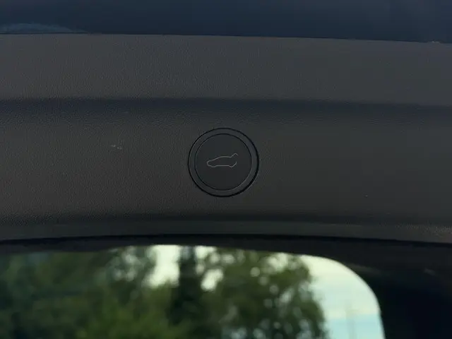 Tesla Model Y Long Range AWD Dual 2024 Elektrisch 18