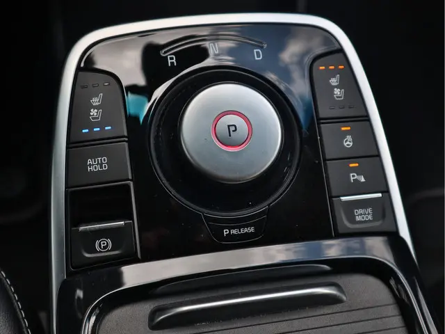 Kia e-Niro ExecutiveLine 64 kWh 3-Fase 2022 Elektrisch 21