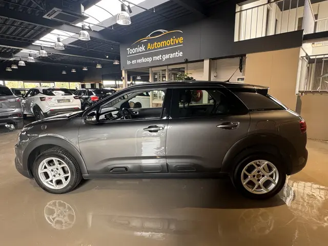 Citroën C4 Cactus 1.2 PureTech Business 2019 Benzine 6