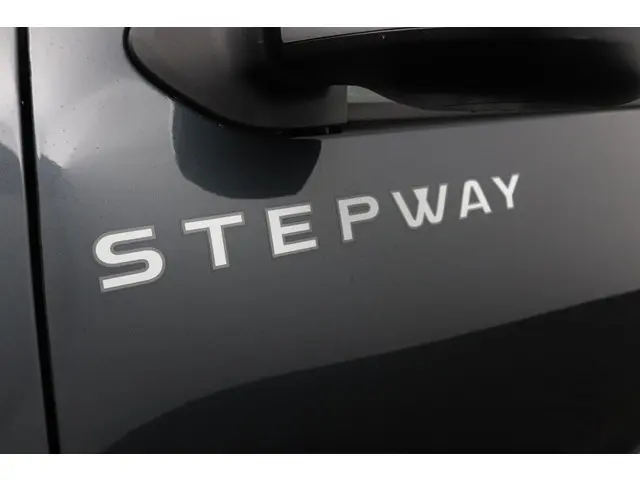 Dacia Sandero Stepway TCe 90 SL Stepway 2018 Benzine 33