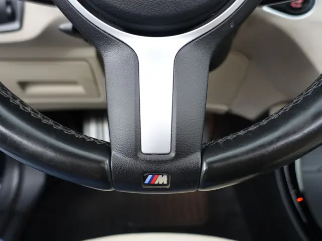 BMW X1 sDrive20i M Sport Aut- 2019 Benzine 24
