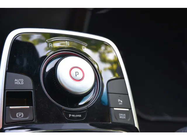Kia e-Niro DynamicLine 39 kWh 2022 Elektrisch 15