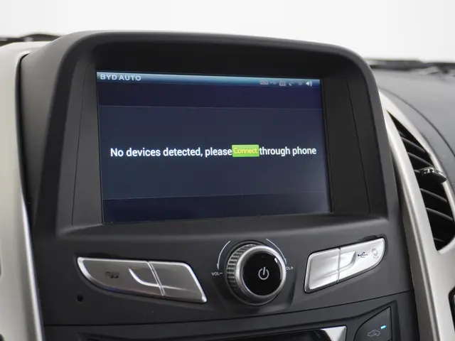 BYD ETP3 Standard 45 kWh 2023 Elektrisch 29