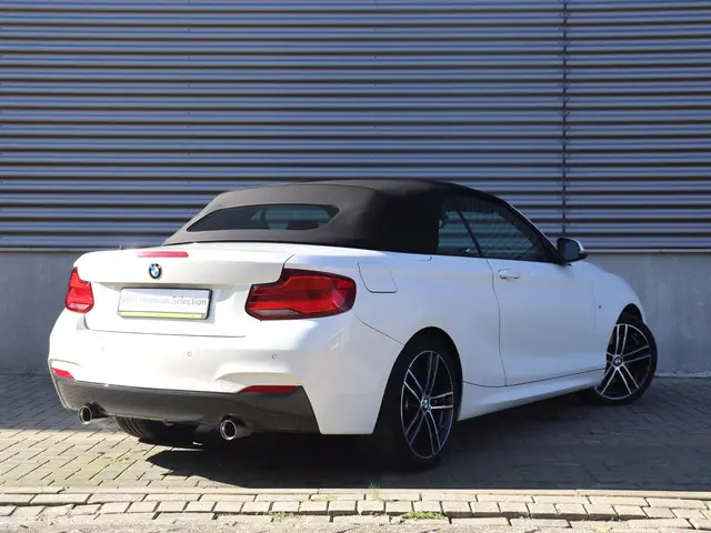 BMW 2 Serie Cabrio 220i 2019 Benzine 4