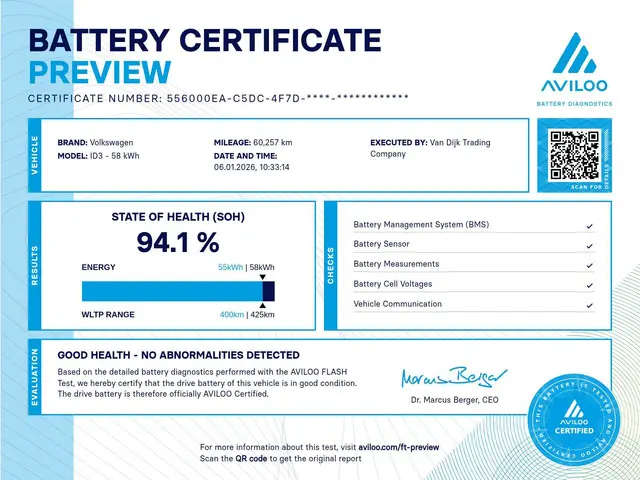 Volkswagen ID.3 First Max 58 kWh 2020 Elektrisch 2