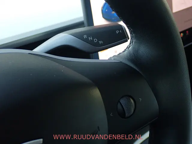Tesla Model Y Long Range AWD 75kWh 2021 Elektrisch 31