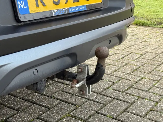 Renault Kadjar 1.3 TCe Intens 2019 Benzine 14