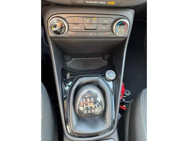 Ford Fiesta - 1.0 EcoBoost Titanium - 2018 2018 Benzine 14