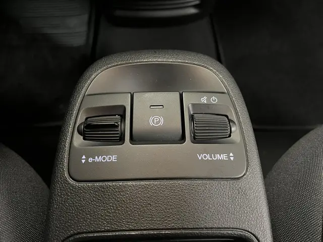 Fiat 500 Icon 42 kWh 2020 Elektrisch 35