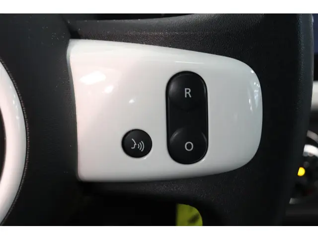 Renault Twingo Z.E. R80 Collection 2021 Elektrisch 24