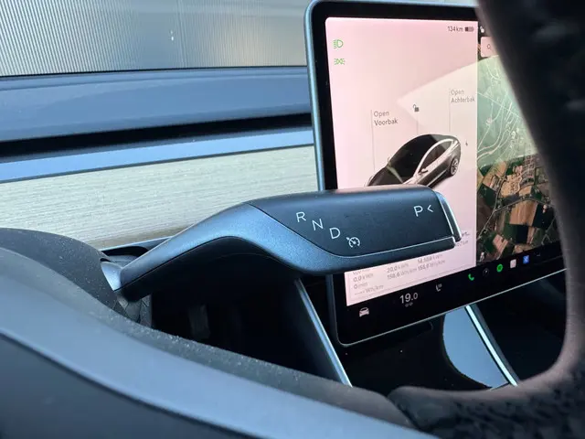 Tesla Model 3 Standard RWD Plus 60 kWh 2019 Elektrisch 21