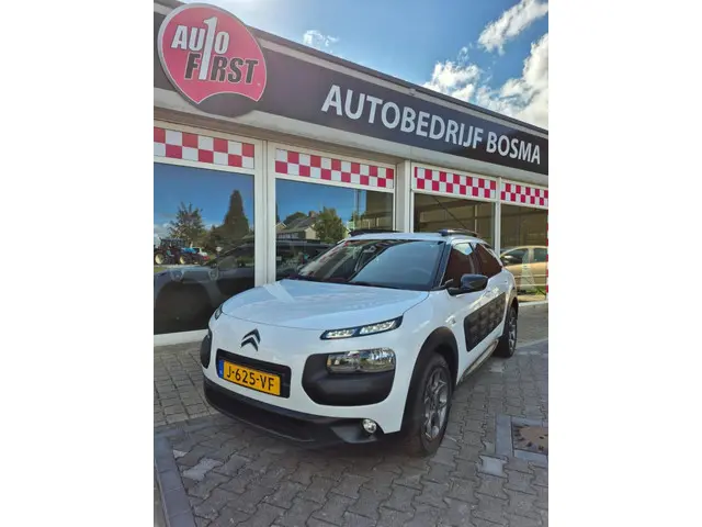 Citroën C4 Cactus 1.2 PureTech Business 2017 Benzine 8