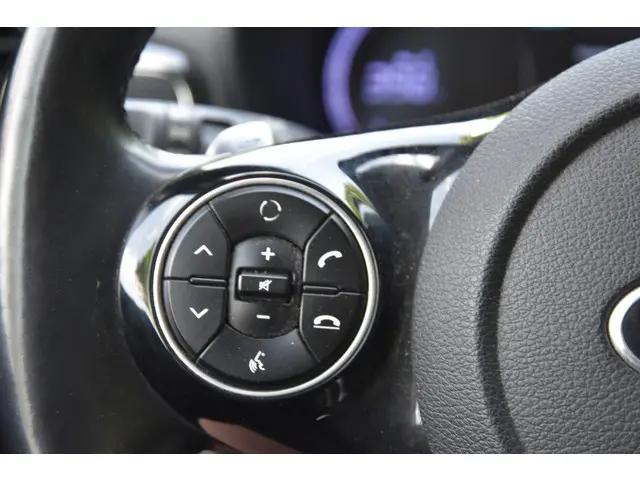 Kia e-Soul ExecutiveLine 64 kWh 2020 Elektrisch 9