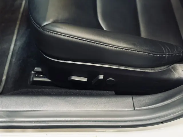 Tesla Model 3 Performance AWD 75 kWh 2019 Elektrisch 15