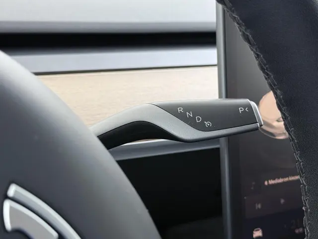 Tesla Model Y Long Range AWD 75 kWh 2022 Elektrisch 25