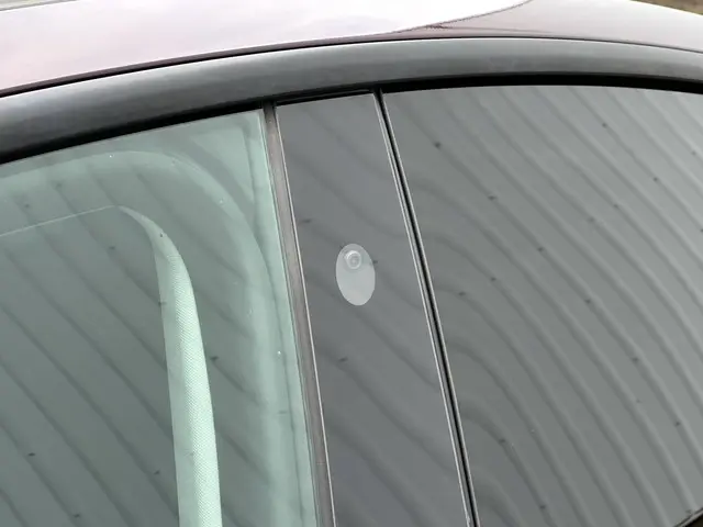 Tesla Model Y Long Range AWD 75 kWh 2023 Elektrisch 9