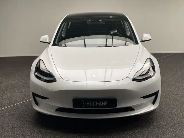 Tesla Model 3 Standard RWD Plus 60 kWh 2021 Elektrisch 14
