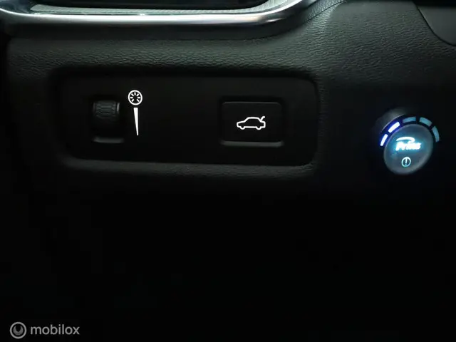 Volvo V60 2.0 T4 Inscription 2019 LPG/Gas 46