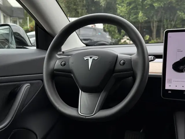 Tesla Model 3 Long Range AWD Dual 2020 Elektrisch 19