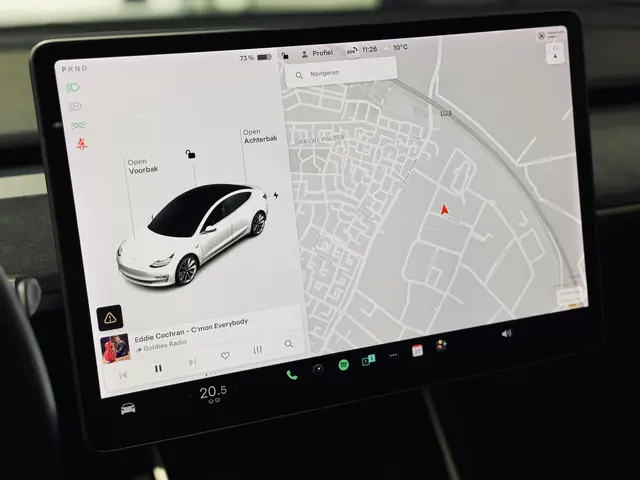 Tesla Model 3 Performance AWD 75 kWh 2019 Elektrisch 18