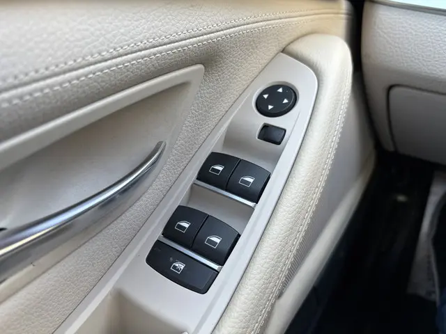 BMW 5 Serie Touring 520i High Executive 2016 Benzine 10