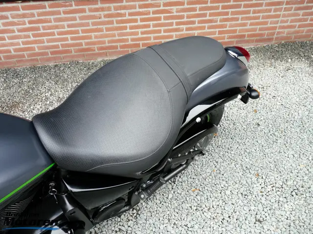 Kawasaki VN 900 Custom 2013 Benzine 15