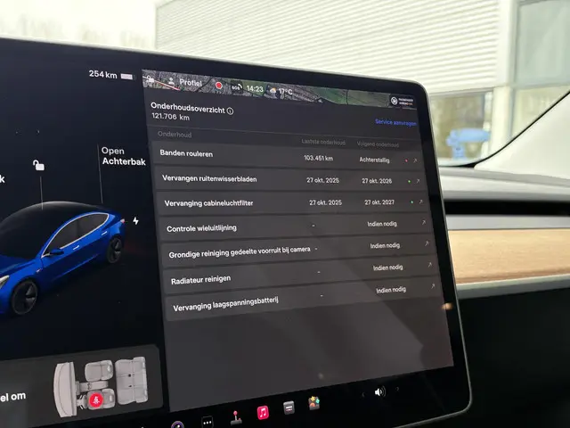Tesla Model 3 Standard RWD Plus 60 kWh 2020 Elektrisch 30