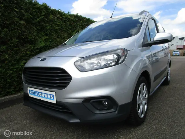 Ford Tourneo Connect 3