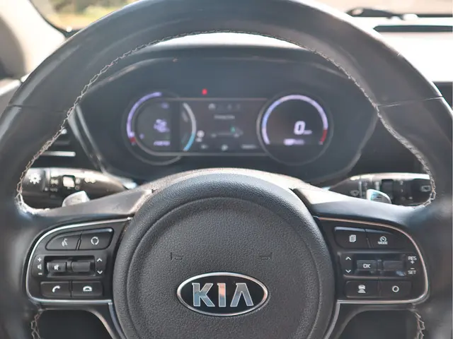 Kia e-Niro ExecutiveLine 64 kWh 2020 Elektrisch 13