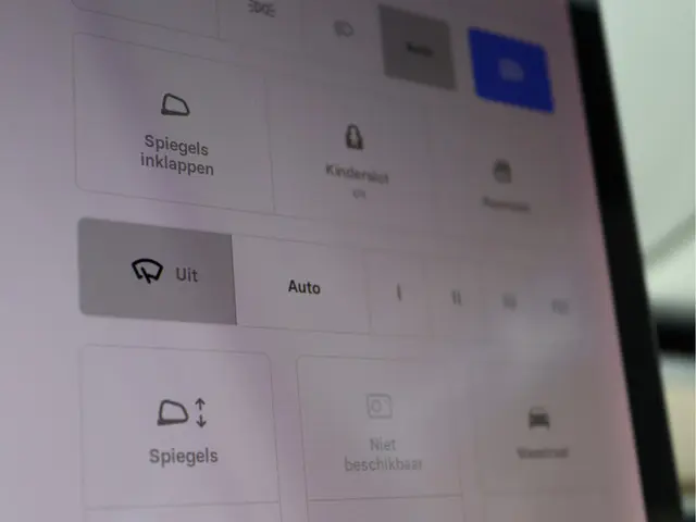 Tesla Model 3 Standard RWD Plus 60 kWh 2019 Elektrisch 36