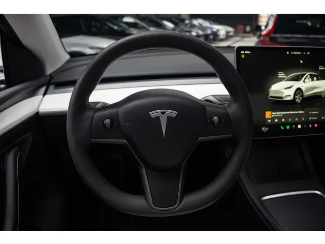Tesla Model Y Long Range AWD 75 kWh 2023 Elektrisch 23