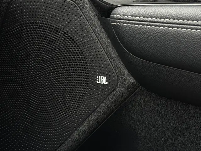 Kia e-Niro ExecutiveLine 64 kWh 2020 Elektrisch 31