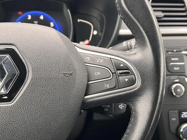 Renault Kadjar 1.2 TCe Zen 2016 Benzine 14