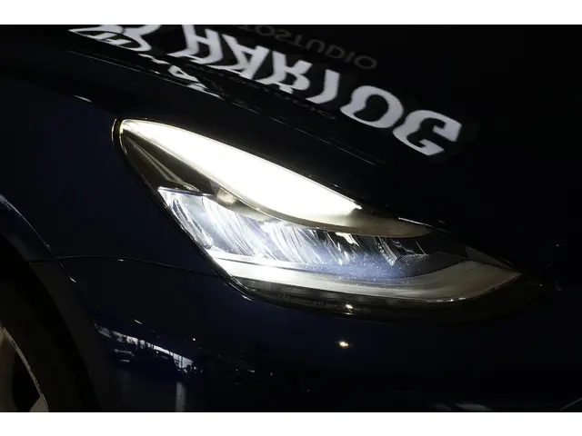 Tesla Model 3 Standard RWD Plus 60 kWh 2020 Elektrisch 35