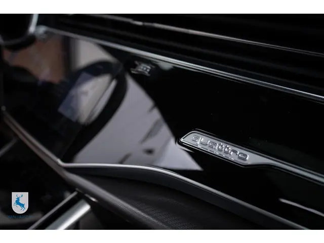 Audi Q8 4.0 TFSI RS Q8 quattro 2024 Benzine 44