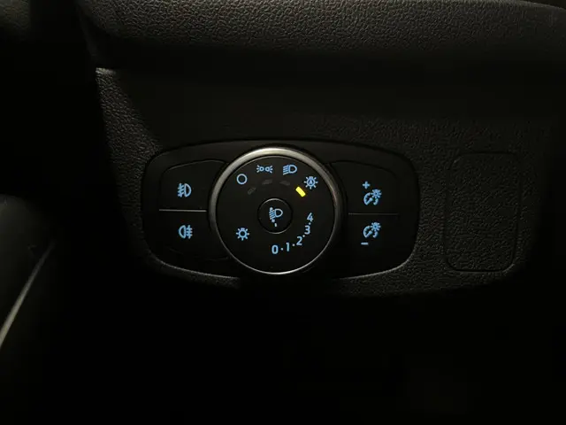 Ford Focus 1.5 EcoBoost 182pk ST Line 2020 Benzine 40