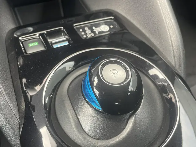 Nissan Leaf Acenta 40 kWh 2020 Elektrisch 22