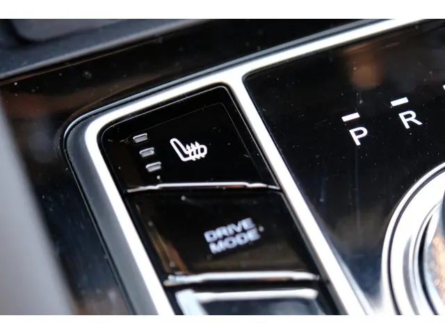 Seres 3 52kWh Aut. Pano|Leder|Navi|360Cam|LMV 2023 Elektrisch 31