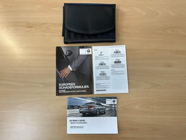 BMW 5 Serie Touring 520i High Executive 2015 Benzine 100