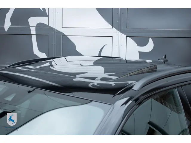 Audi Q8 4.0 TFSI RS Q8 quattro 2024 Benzine 54