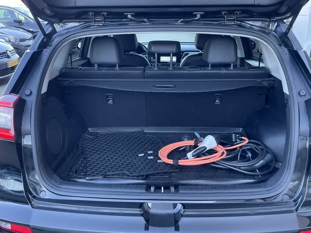 Kia e-Niro ExecutiveLine 64 kWh 2019 Elektrisch 10