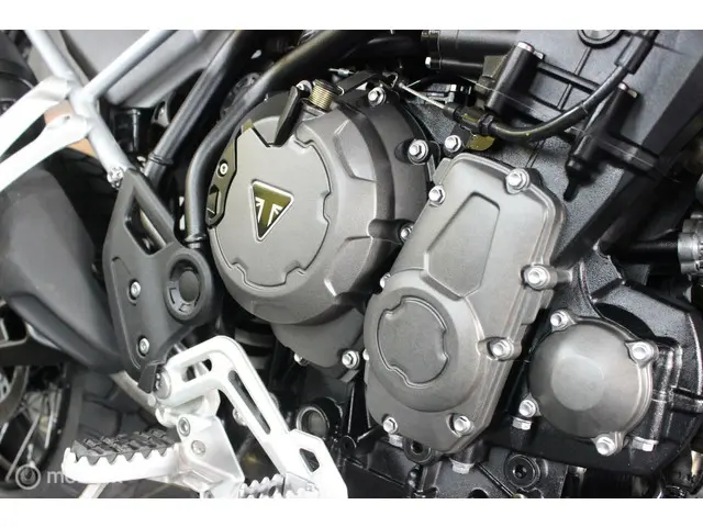 Triumph Tiger  900 Rally 2022 Benzine 14
