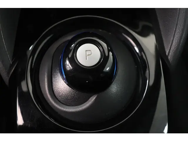 Nissan Leaf e+ N-Connecta 62 kWh 2021 Elektrisch 25