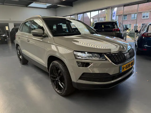 Škoda Karoq 1.5 TSI ACT Business Edition 2020 Benzine 6